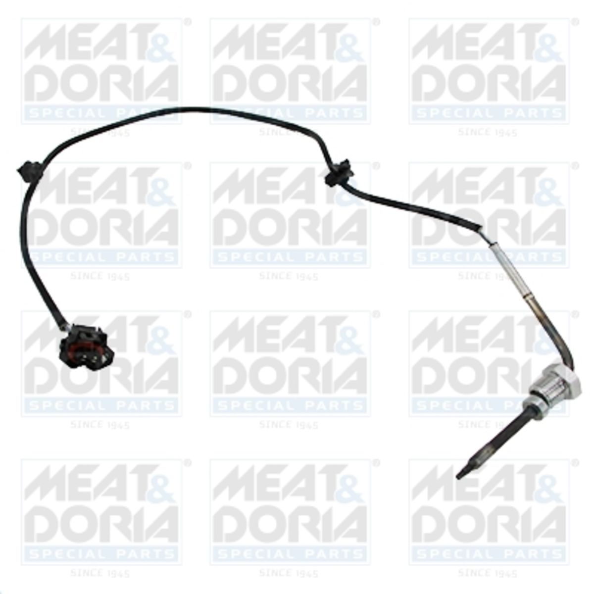 Meat & Doria Sensor, Abgastemperatur 12067