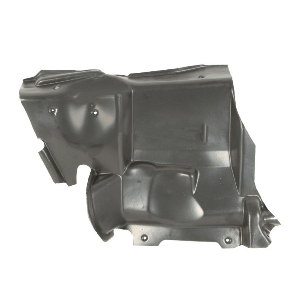 Blic Afdekking motor  6601-05-0000001P
