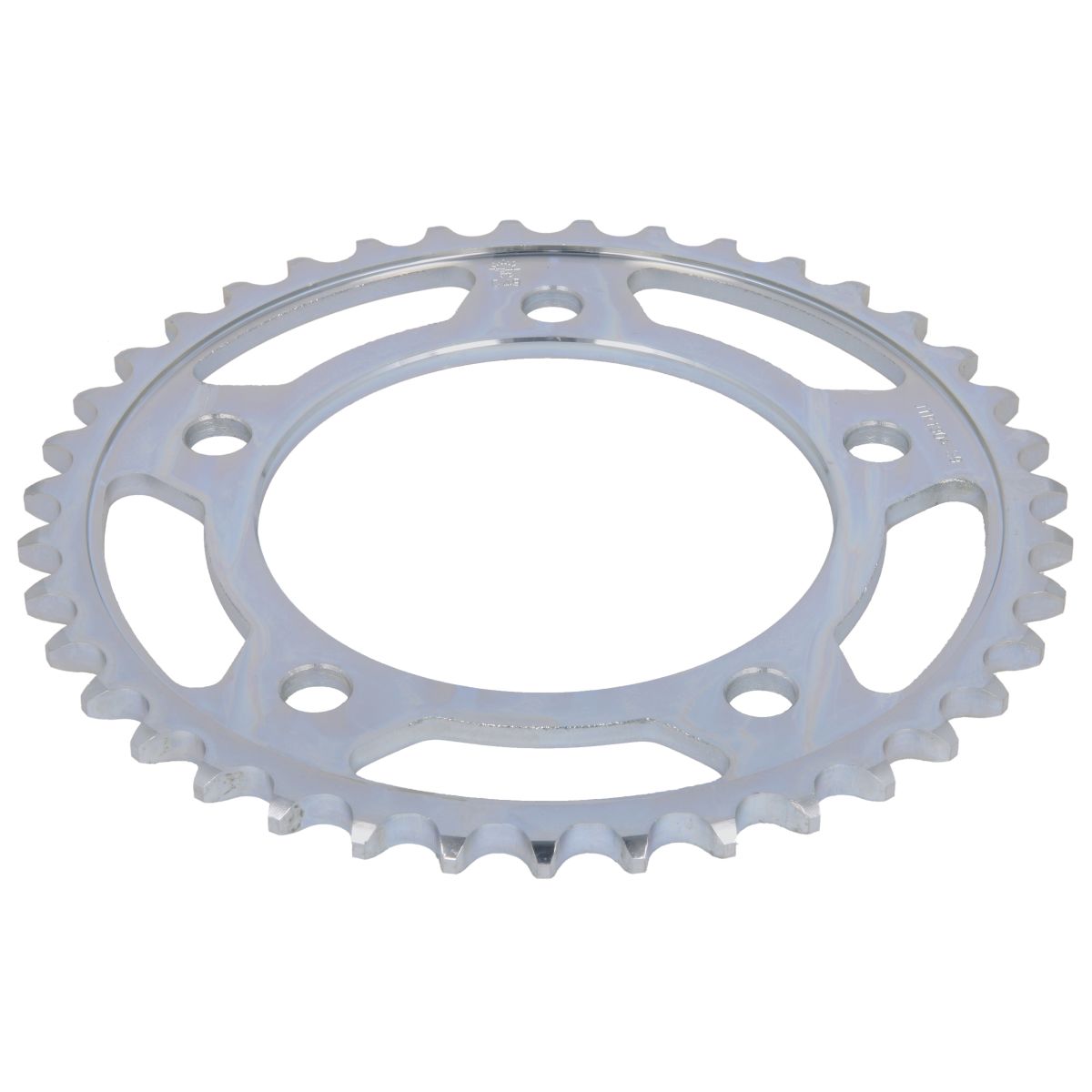 Pignone posteriore JTR 1304,39