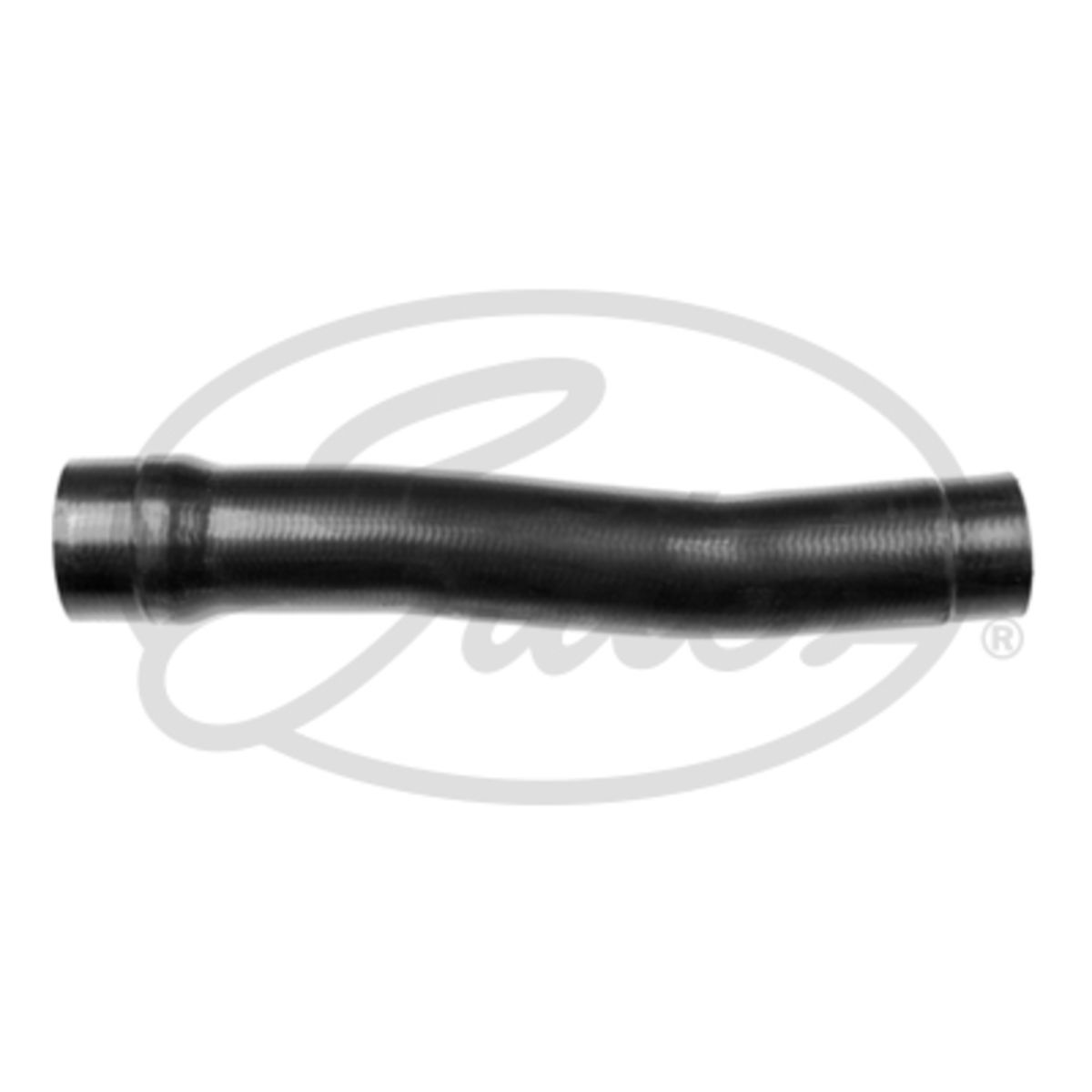 Image of Radiatorslang