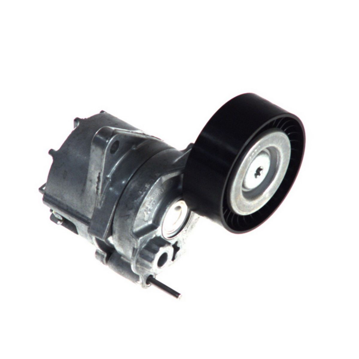 Image of Spanpoelie, V-riem