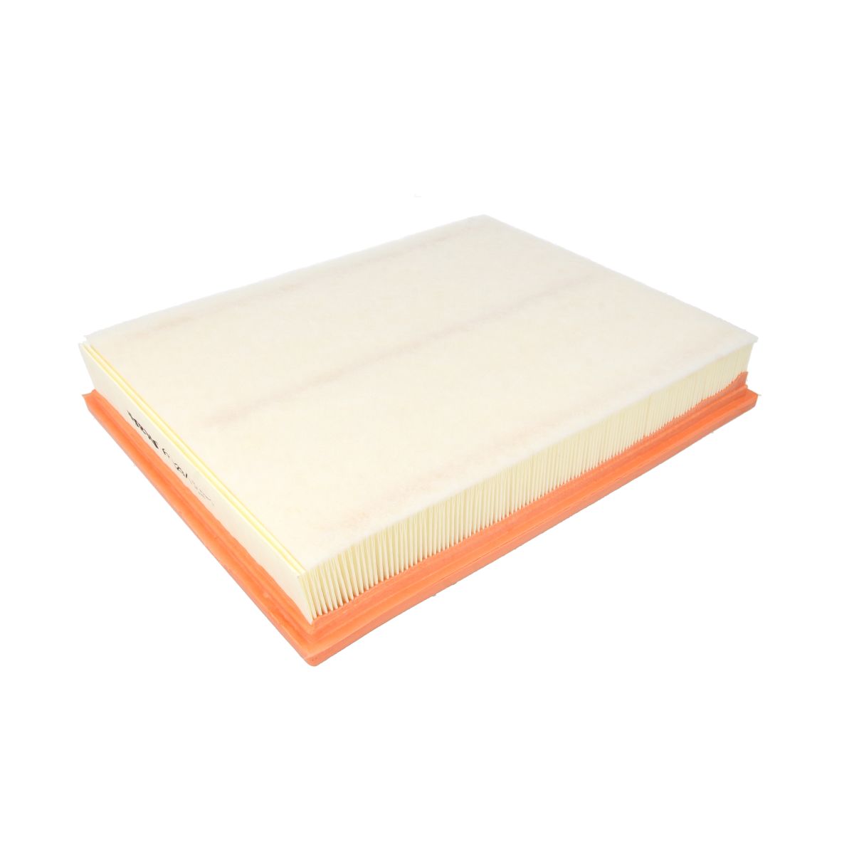 Filtron Filtro Aria Ap029/1