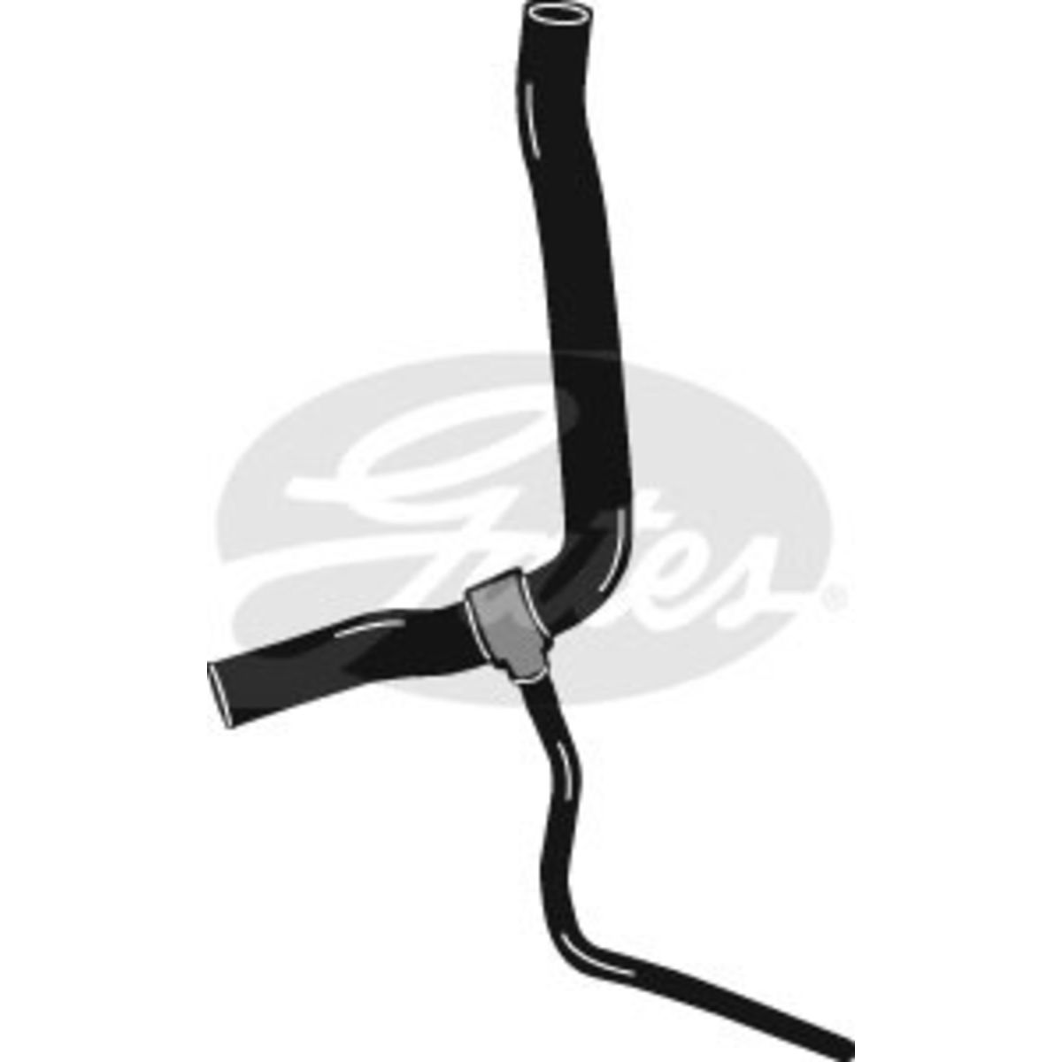 Image of Radiatorslang
