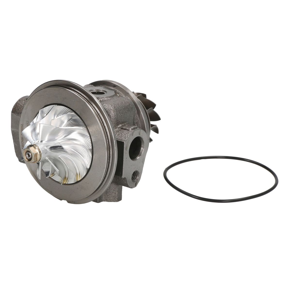 Image of Patroon / CHRA / kernassemblage