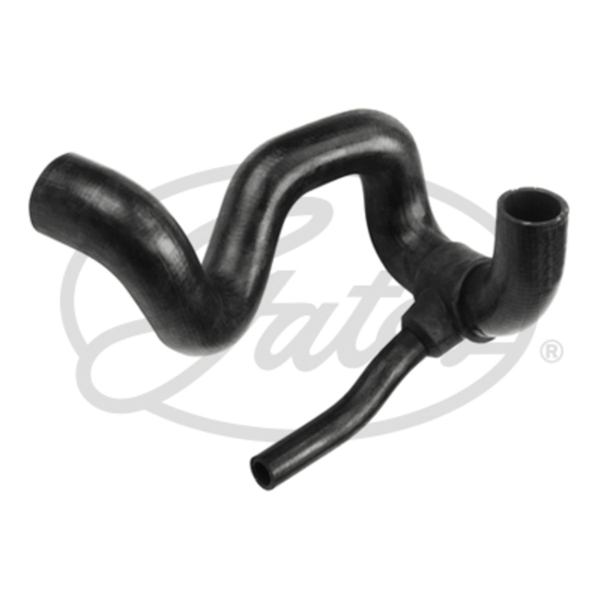 Image of Radiatorslang