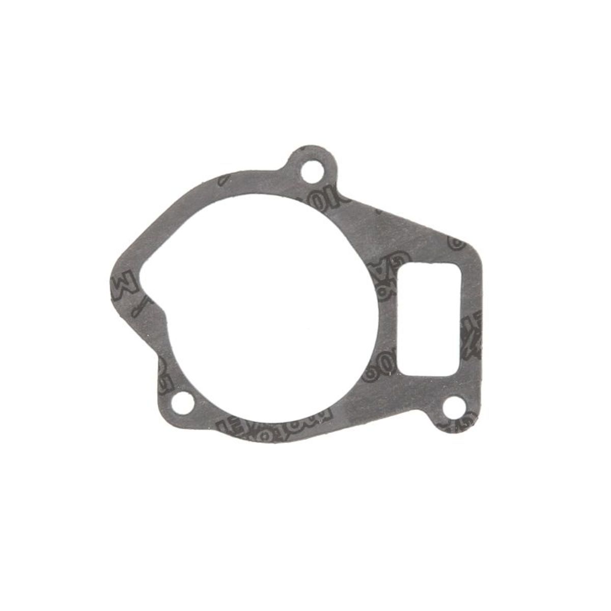 Wasserpumpendichtung ATHENA S410207024002
