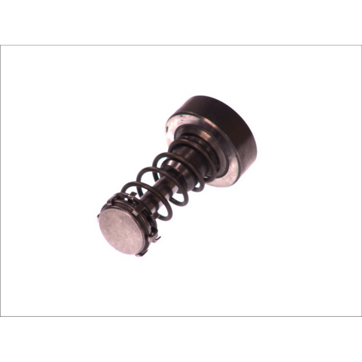 Bosch Pistone, Pompa Common Rail F 01M 101 355