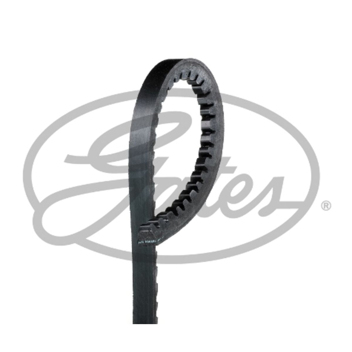 Image of V-riem FleetRunner™ V-Belt