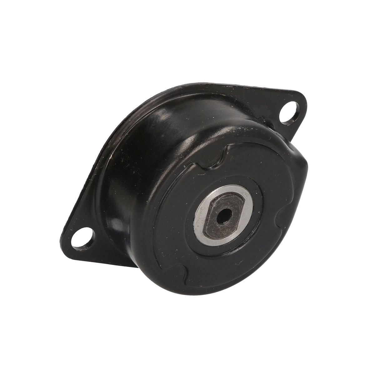 Image of Spanpoelie, V-riem