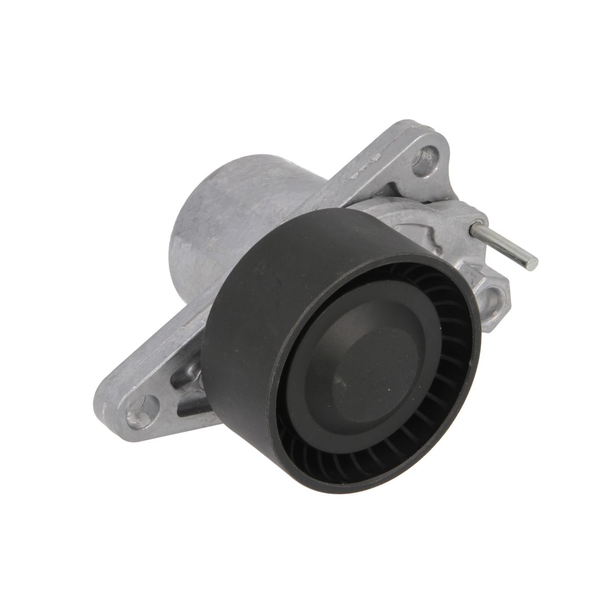 Image of Riemspanner, Poly V-riem