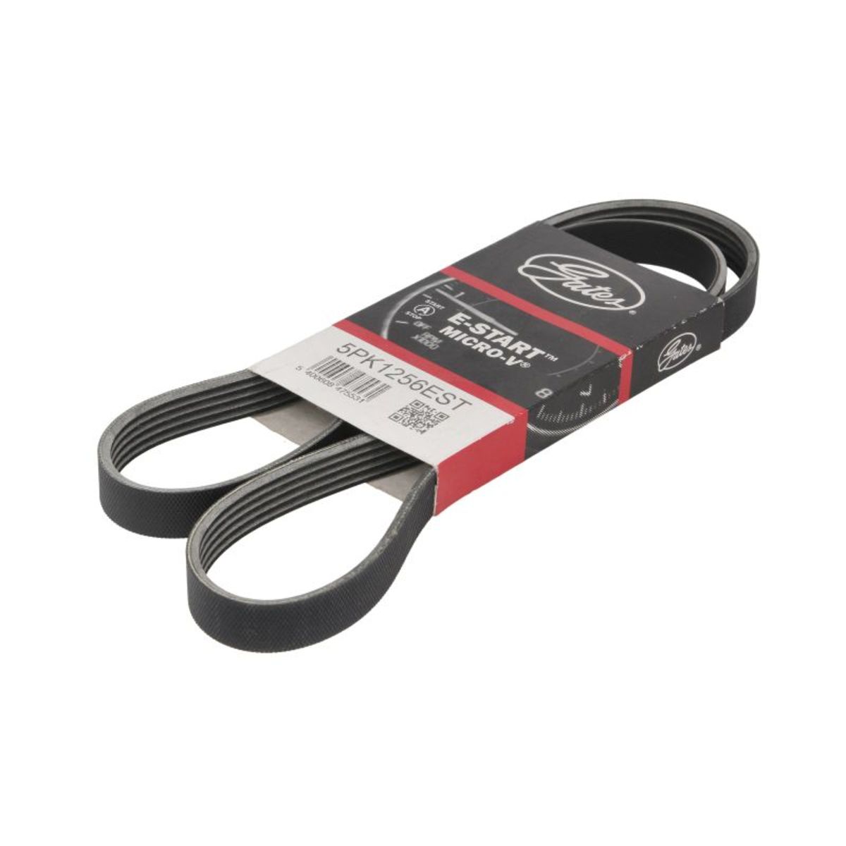 Nero Cinghia Poly-V Gates Gat5pk1256est