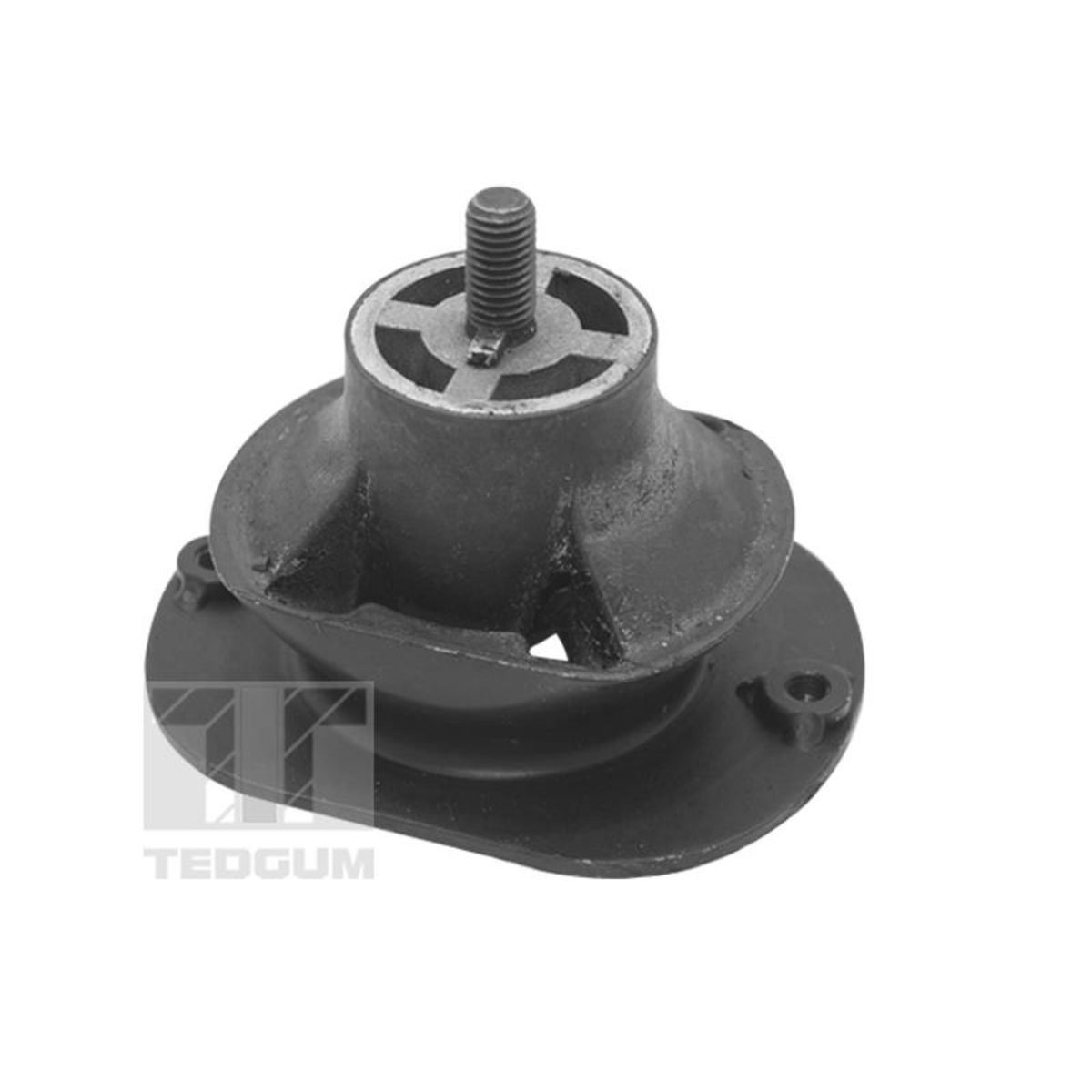 Image of Motorsteun