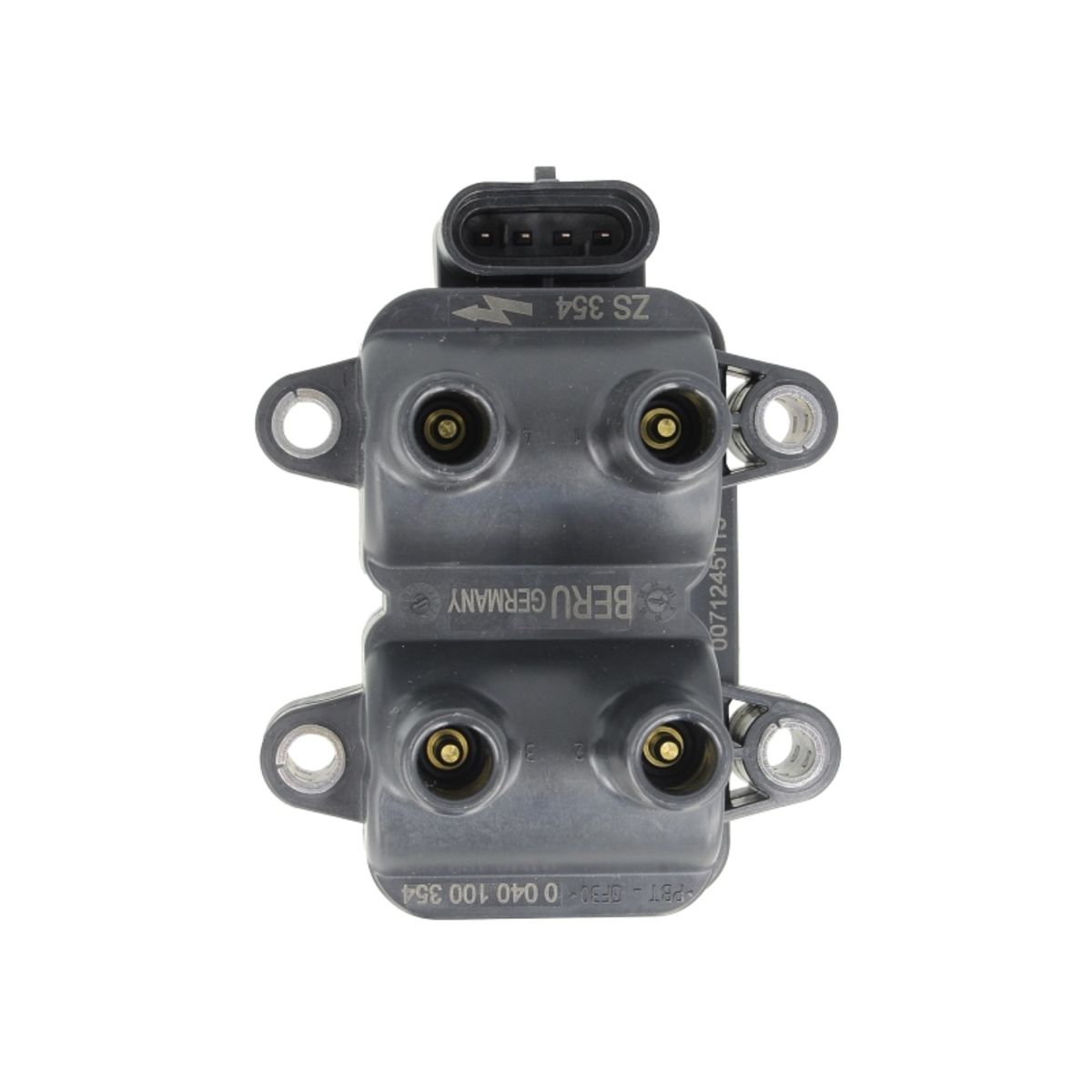 Image of Bobine BORG WARNER (BERU)