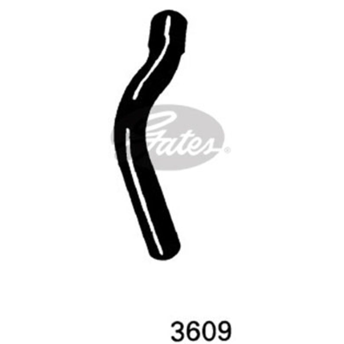 Image of Radiatorslang