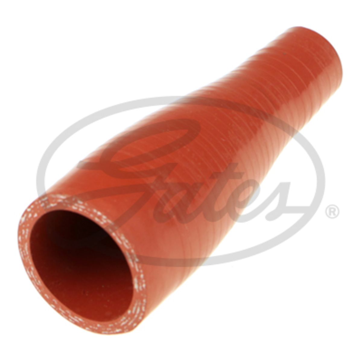 Image of Radiatorslang