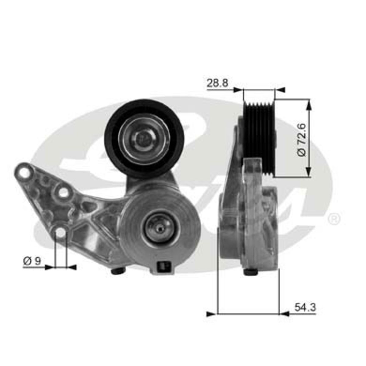 Image of Spanpoelie, V-riem
