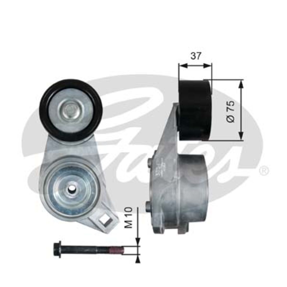 Image of Riemspanner, Poly V-riem