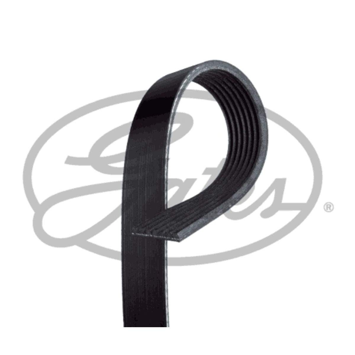 Image of V-riem