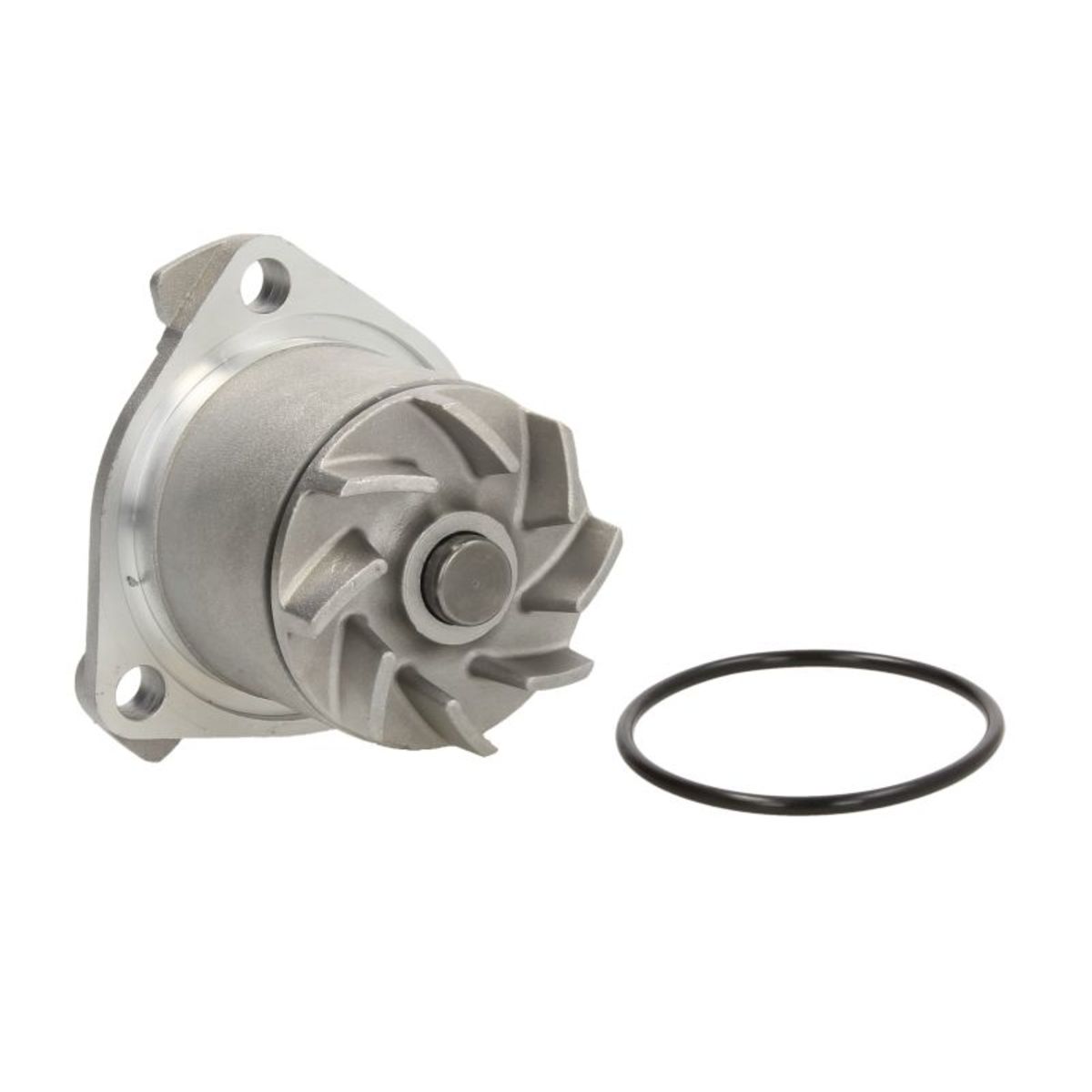 Thermotec Wasserpumpe D1w023tt