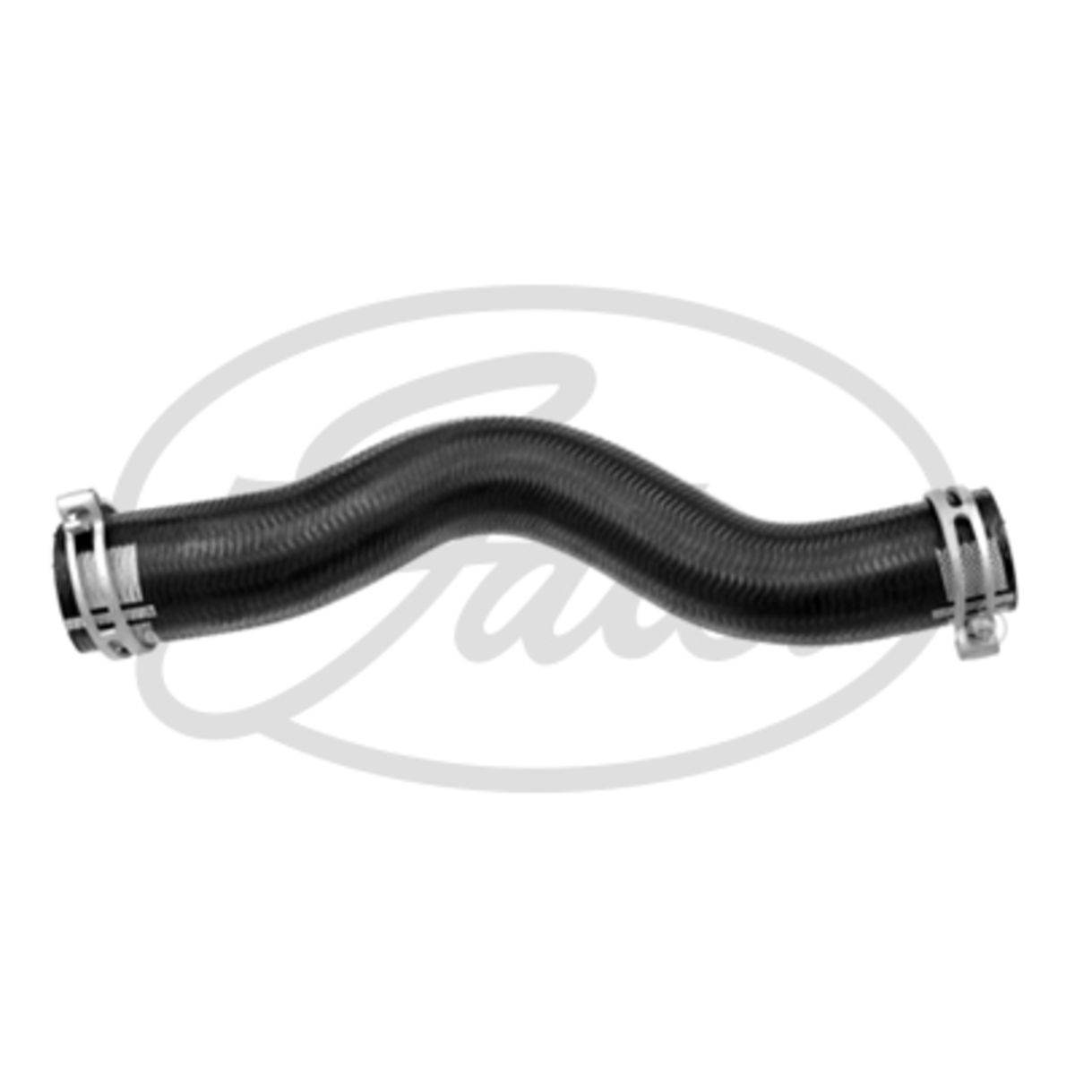 Image of Radiatorslang