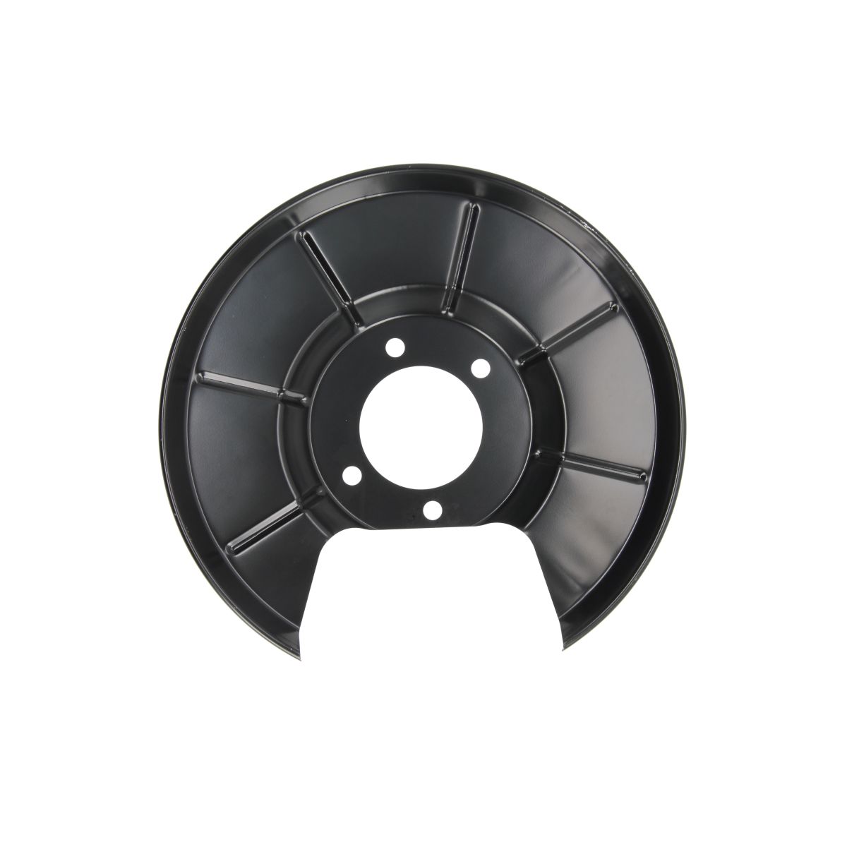 Chapa protectora contra salpicaduras, disco de freno BLIC 6508-03-2556877K izquierda