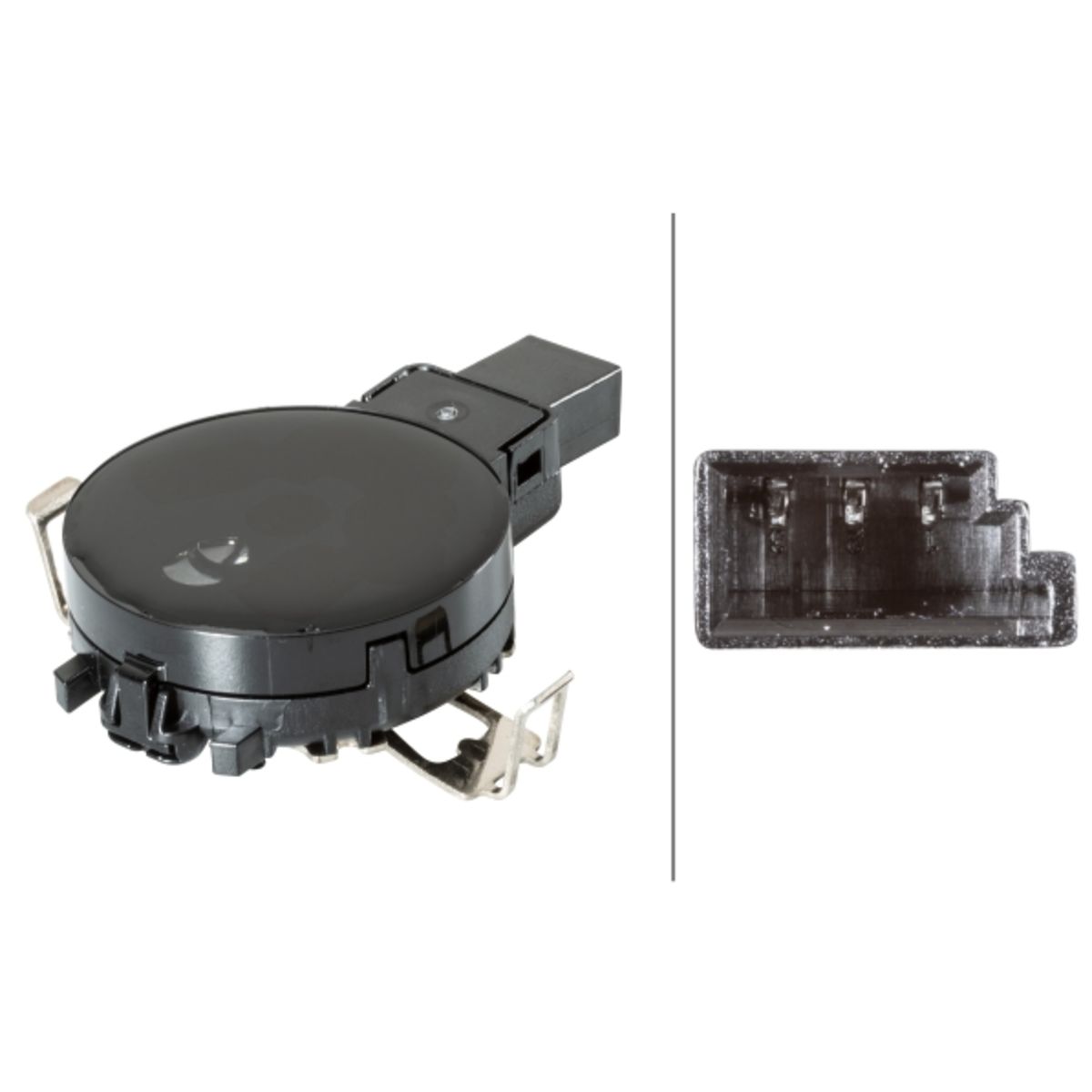 Image of Regensensor
