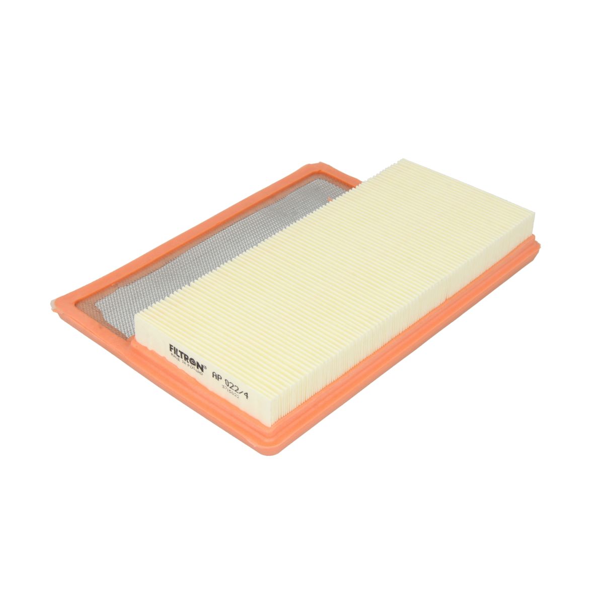 Filtron Filtro Aria Ap022/4