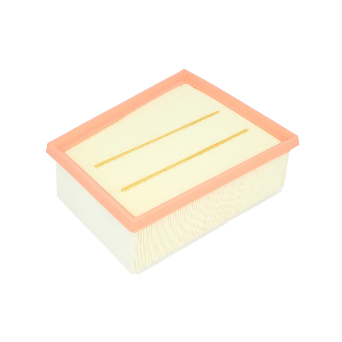 Filtron Filtro Aria Ap135/9