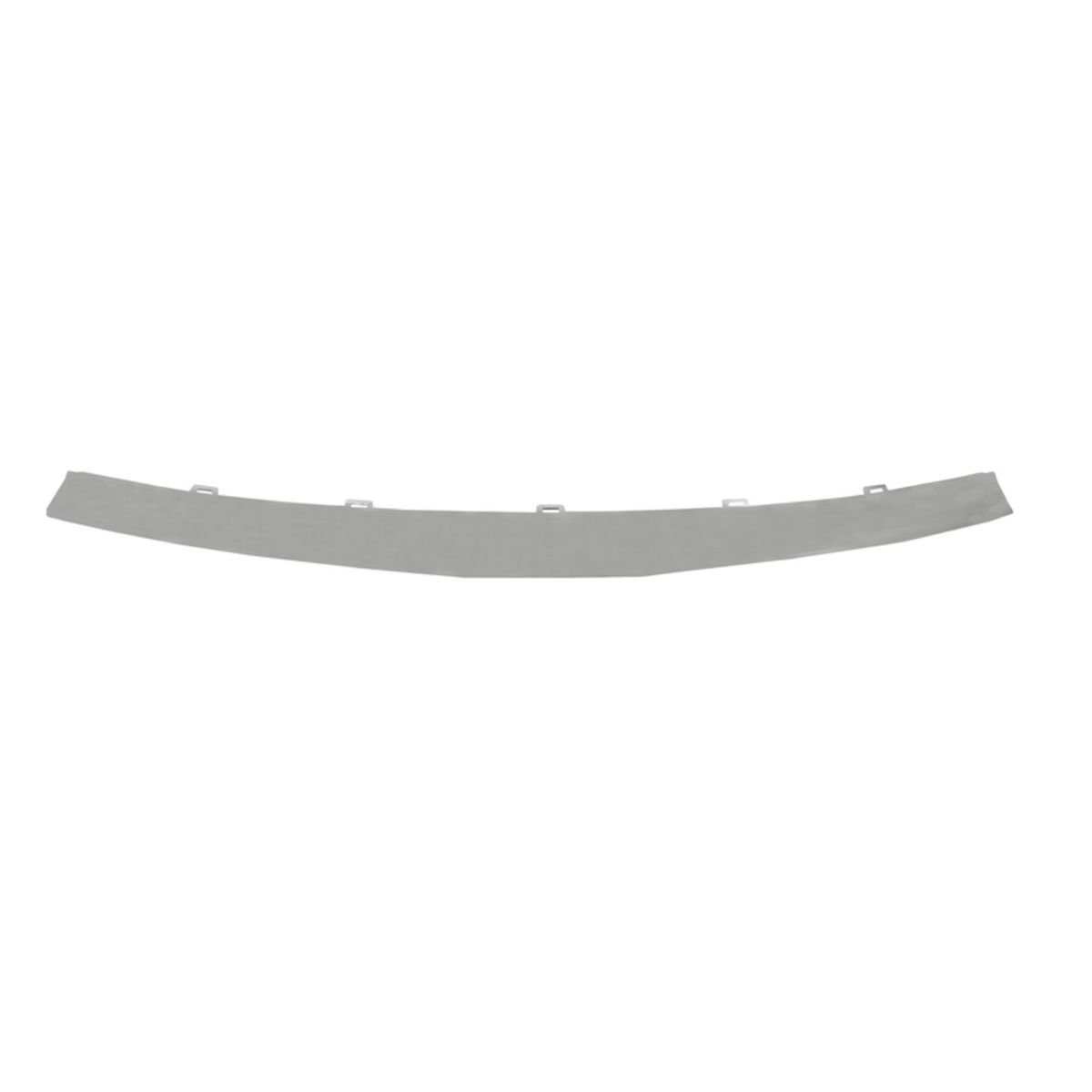 Sierlijst/beschermstrip, radiatorrooster BLIC 6502-07-1310991P
