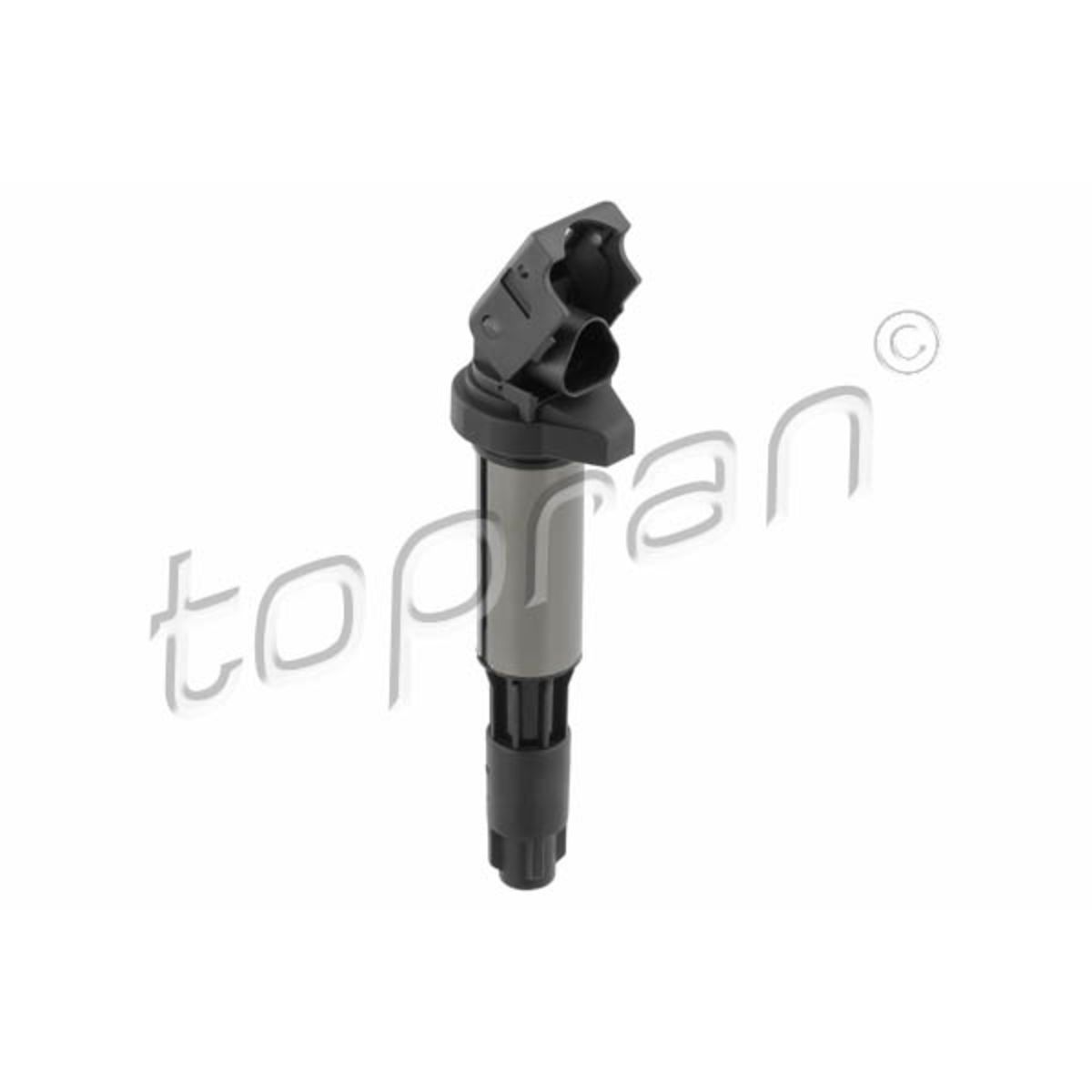Image of Bobine