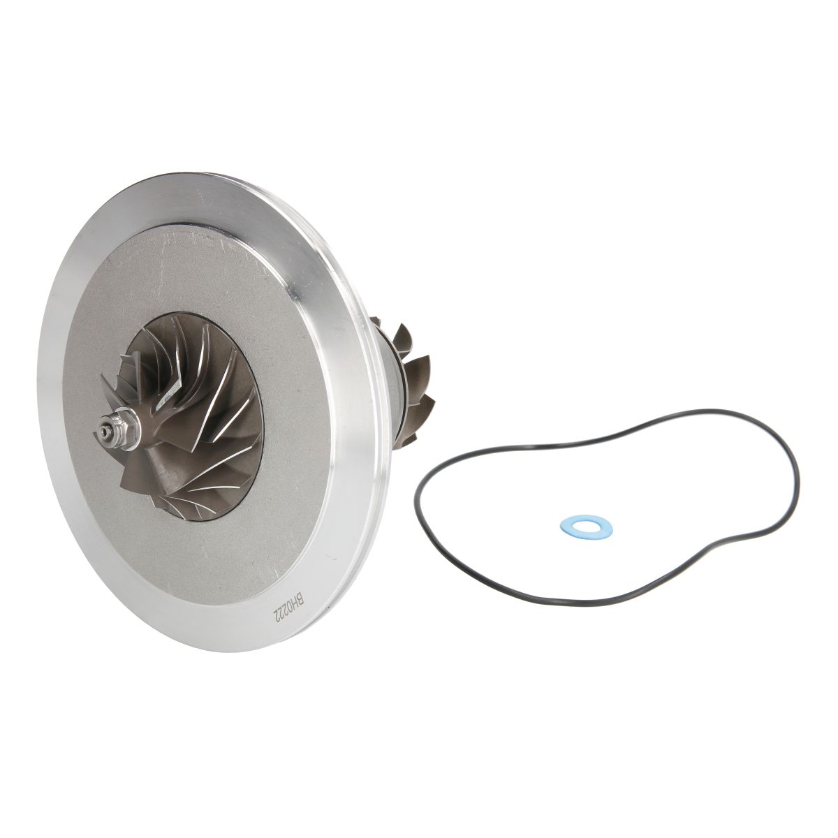 Image of Patroon / CHRA / kernassemblage