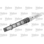 Boquilla de inyección, válvula de expansión BEHR VALEO 508966