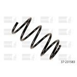 Jousi, jousitus BILSTEIN 37-231583