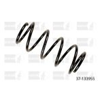 Jousi, jousitus BILSTEIN 37-133955