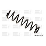 Mola de suspensão BILSTEIN 36-300075