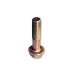 Tornillo AUGER 51521
