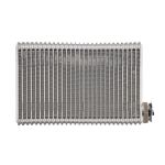 Evaporador, ar condicionado AKS DASIS 442021N