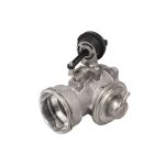 AGR Ventil BORG WARNER 7451D