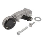 Galet tendeur (courroie trapézoïdale à nervures) HUTCHINSON T4035