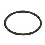 Thermostaat O-ring VOLVO PENTA 3583830