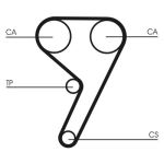 Distributieriemset CONTINENTAL CT881K1