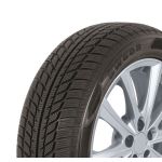 Winterreifen TRAZANO SW608 225/50R17 98H XL