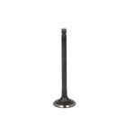 Einlassventil FRECCIA R6609/SNT