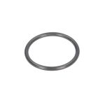 O-ring per cilindro idraulico, 38,7x3,55 per martinetto EVERT ZL207101012