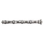 Nockenwelle BF 20100905000