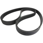 Courroie à nervures trapézoïdales OPTIBELT 1003573AP