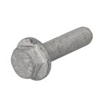 Vis de la poulie SASIC 8704007