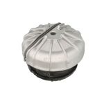 Supporto motore REINHOCH RH11-3162