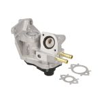 AGR Ventil BORG WARNER WA710937D/1