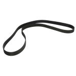 Courroie trapézoïdale à nervures OPTIBELT AP1004463